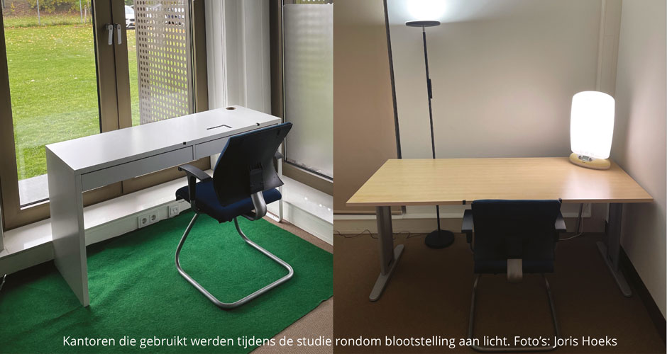 Daglicht én timing van beweging relevant voor glucoseregulatie